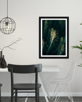 Wild Weed Grass Poster