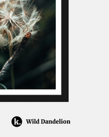 Wild Dandelion Poster