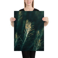 Wild Weed Grass Poster