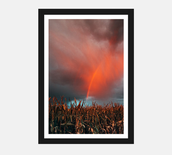 We got a rainbow at sunset for you, and it looks fantastic. Poster is the most convenient way to bring mood into your space. Colours will pop on the enhanced matte paper. 